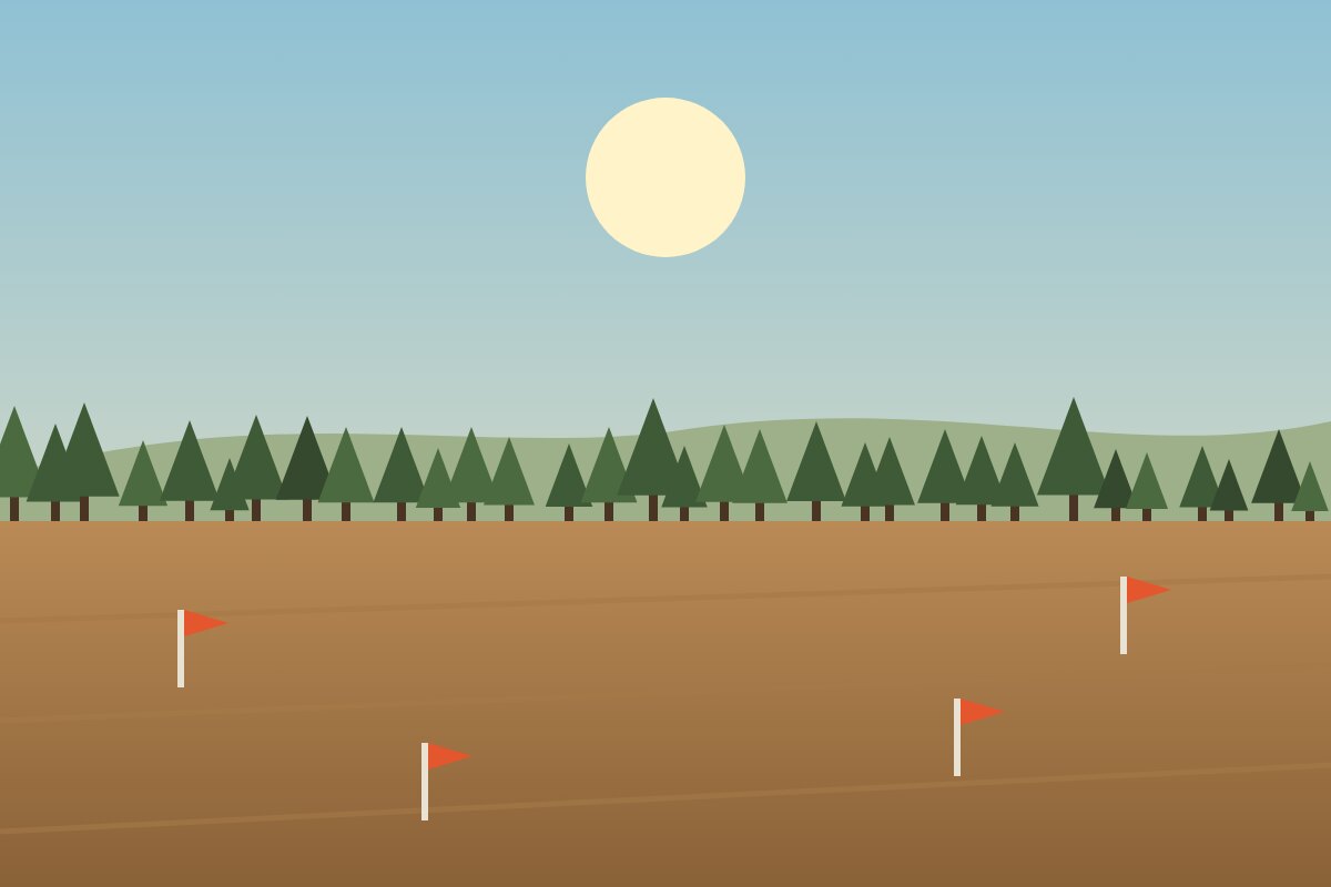 A cleared, level lot marked with survey flags